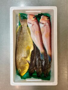 島根県浜田港から届く旬魚